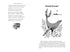 The Jungle Book - 9786178280857
